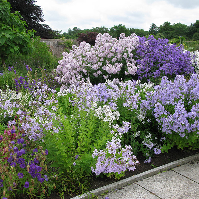 �������� ������� � ����. ��������� ���� � ���� ����. ����� ����. ���� ������� �� 5.09. ������������ �������� ��� ������ ���� �� �������� ��������� ������������� ������� Savgarden. ��� � �������. ���� ������, ������� �����, �� 80 ���. ����� 6. ���������.