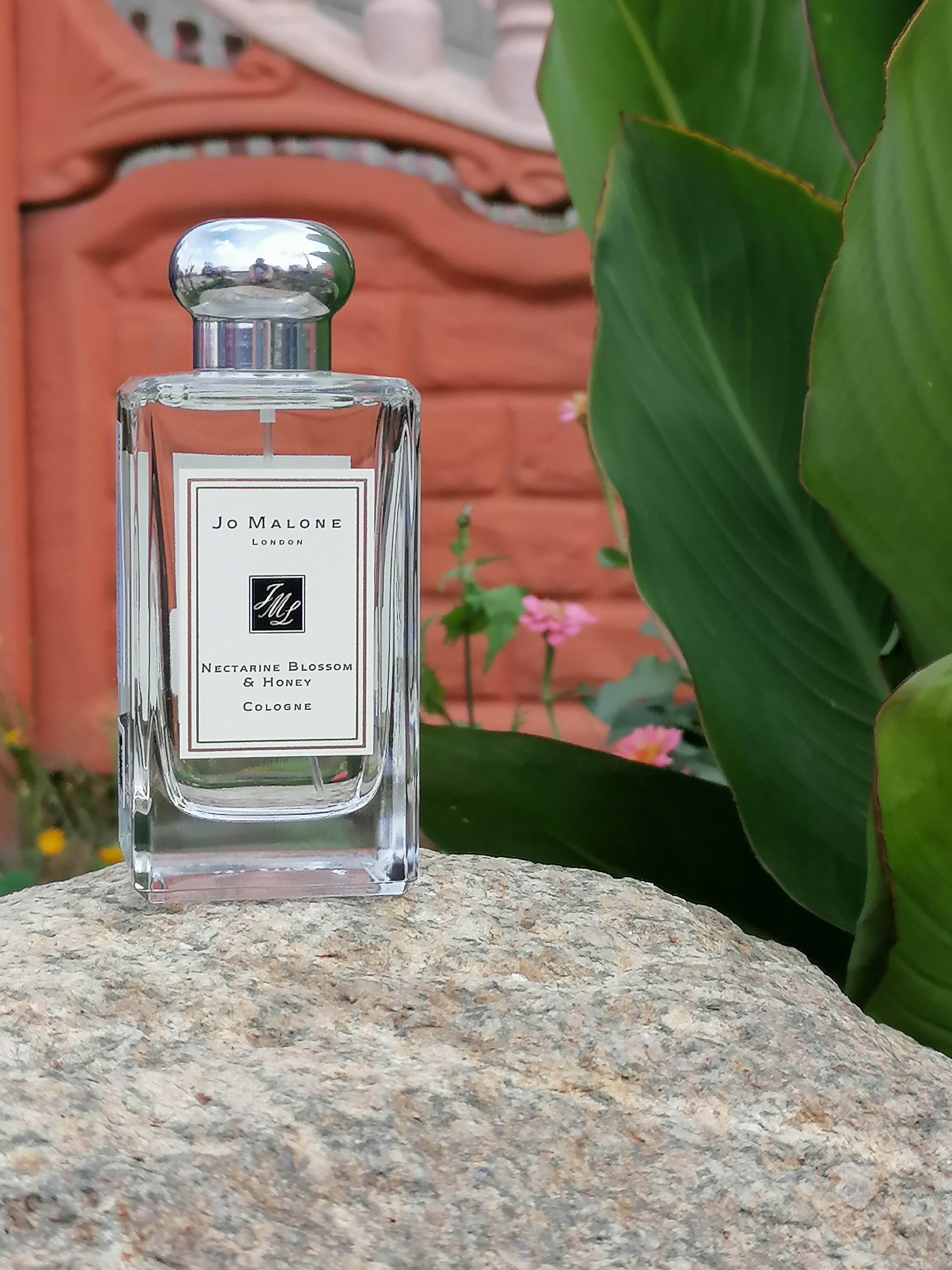 ������ �� �������� ����� ������� �� 13 �. ������� � �������