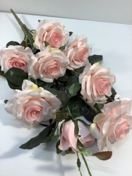 [b]���� �� 17 . 09 . ������������� ����� , ������ �� 10 ��� , ��������� ����� �� 6 ��� . ����� ��������� �������� �� �������������![/b]