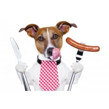 [b]���� �������. ������� � �������� ��������� � ������� ��� ����� ��������: ����, ������, ������, ������, ����� � ��. ����� ������, ����. ��� ����� ������ �������! ���� � �������. �����11[/b]