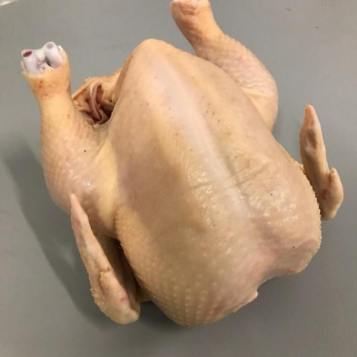 ����� �� �����! ������� �������� ����� �������� ��� ������