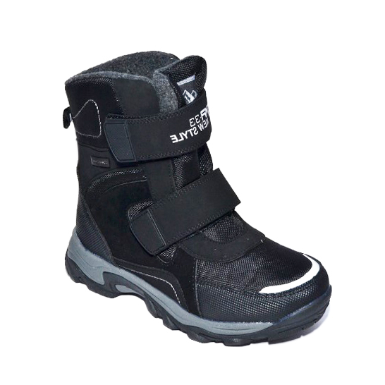 ���� ��������, ������ ����������� ������. �36 ���� 1679�. �������� ��������. ����� ԣ����.