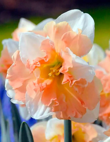 ����� ������ ��������� �������� ����������. ������� � ������� ������!