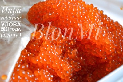 ���������� ������� ���� � ������ ������ ����������. ���� �� 22.09