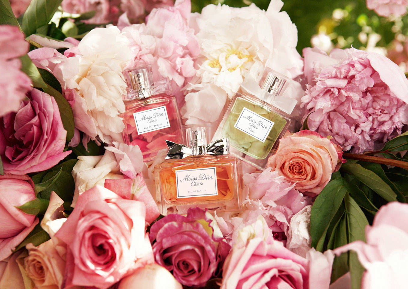 ���� �� 30.09.������ ������� � �������, �������� ����� �� 199� �� 100��,���� ������,���������� �� 65�.������� ����� ��������.��������� ��� ����.����� ����.86