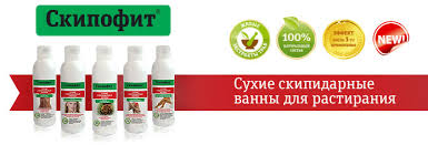 [b]���� �������.���� ������ ! 15����� � ���� ��� ������ � �������� - ����������� �����-������������ ������! ���������� � ����� ����� ��� ���������!����������� �����, ������� � ��������.�������- ����� � �������!55[/b]