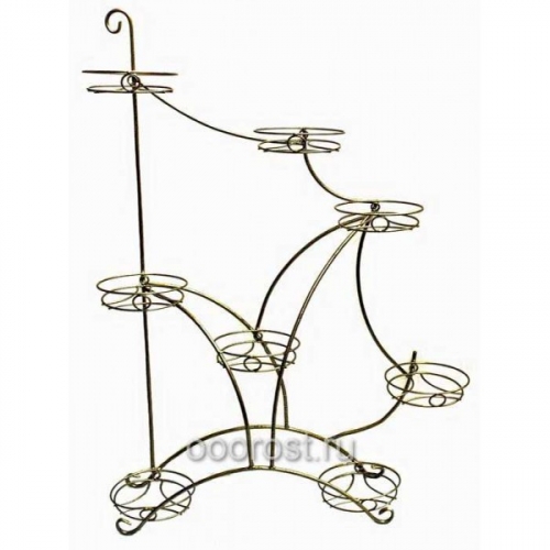 ����� ������ � ���� ������!������-������, ��������� ������