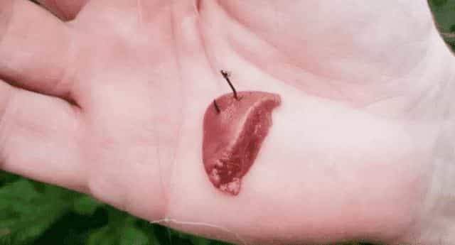 ��������� ������� �� ������