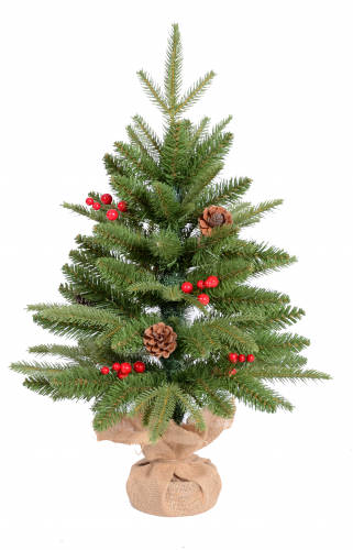 Erbis. �������� ��� � ������ �� ������ 2021