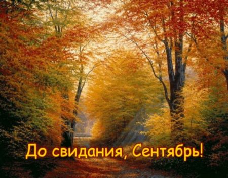 ��� ������