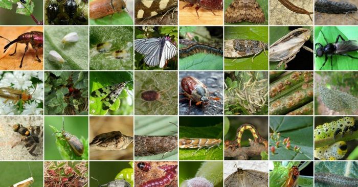 ���� �� 20.10 ������ ������ ��� ��������! ���������������� �������� ������ �������� �� ���������� � �������� �� ������� �������� ��������������. ����� 3/21