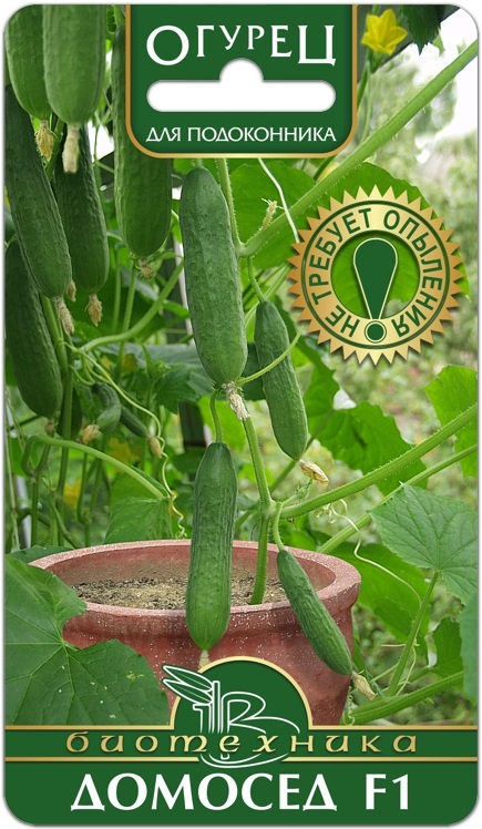 ������ ������� ���! ����������� ����� � ������� ��������� �����, ������ � ����������� � ������������ ������������!