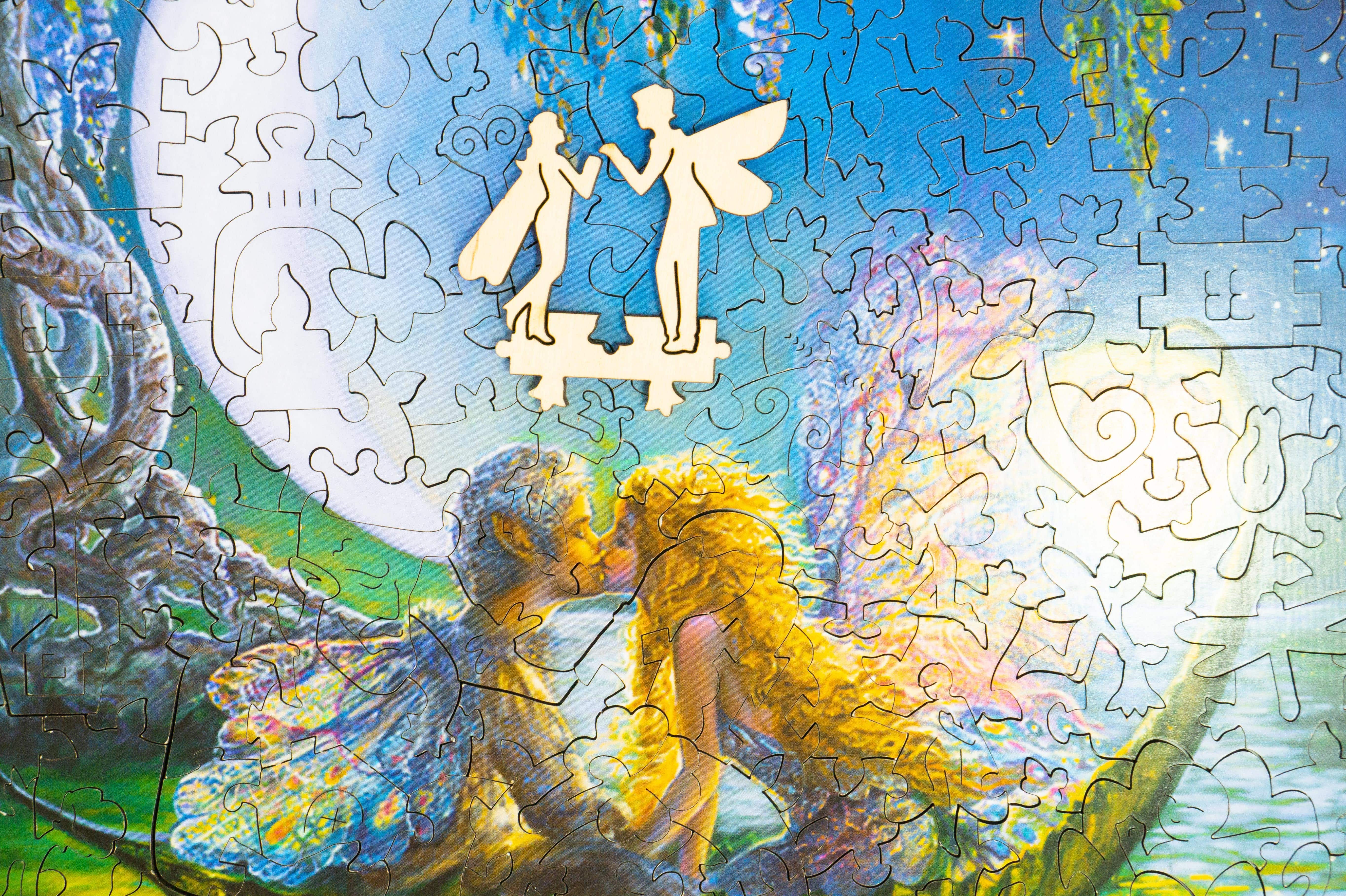 �����, �� ������� �������� ���������� �������� ����� �����. ���� DAVICI �������� ����