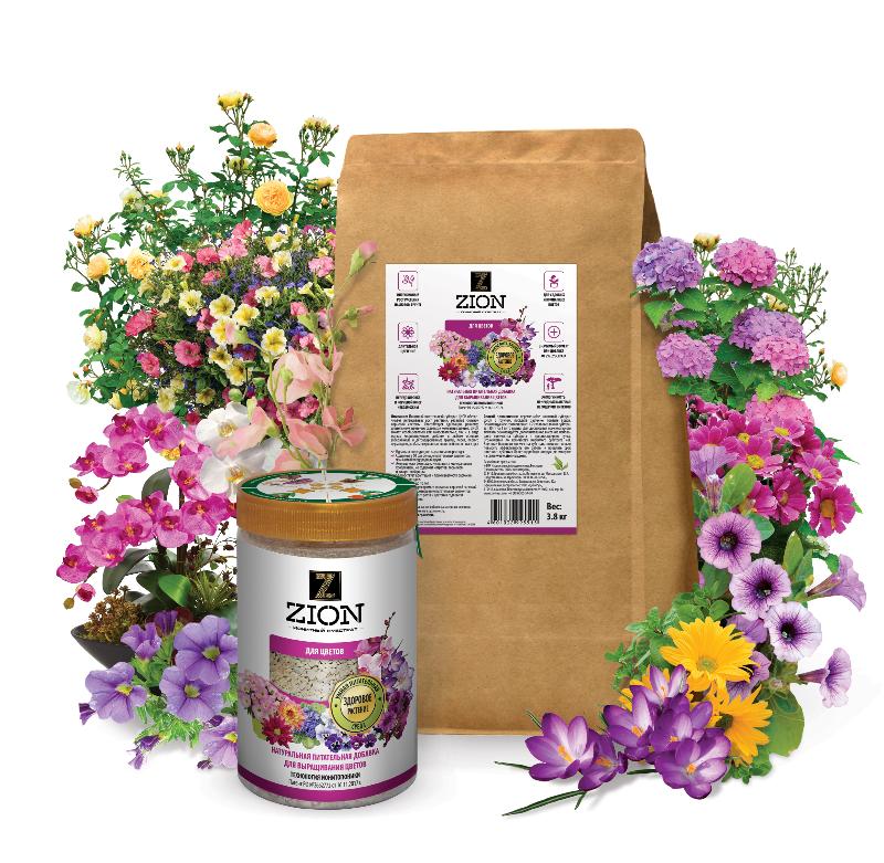 ����������� Z*I*O*N - ����� ������ � ����������� ��������!