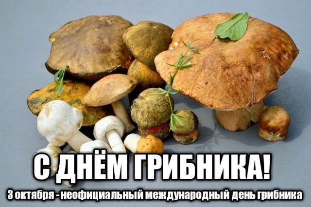 � ����������!