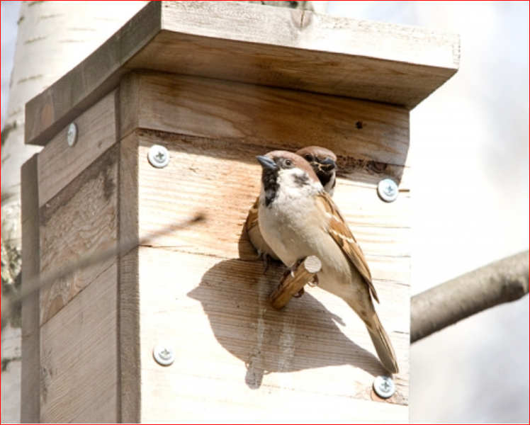 ���� ������� �� 31.10. �����������. ���������. ��������������. ���� ���� �� ����� �������� ���������� 15 000 ��������� (� �� �������) �� ����� � �������� 40 ������������ ��������. ������� ������ �� ����������� � ���������� ���� ����� ������� ������