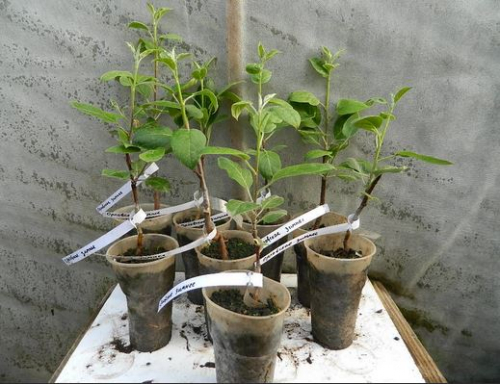 ���� �� 25.10. ������������� ������� (��������). �������� �����-�������� �� �������. ������� �������-������ ��� ����������� ������ �������, �������, ������������� ����, ������������ �����, ���������� (� �.�. ������ � �������) 7