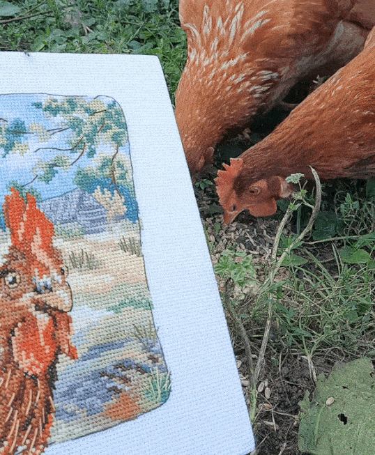 ���� �� 23.10. R�0-40. ������ ��� ��������� ������� ������� ��������������. ���������� ������� ��� ���������.