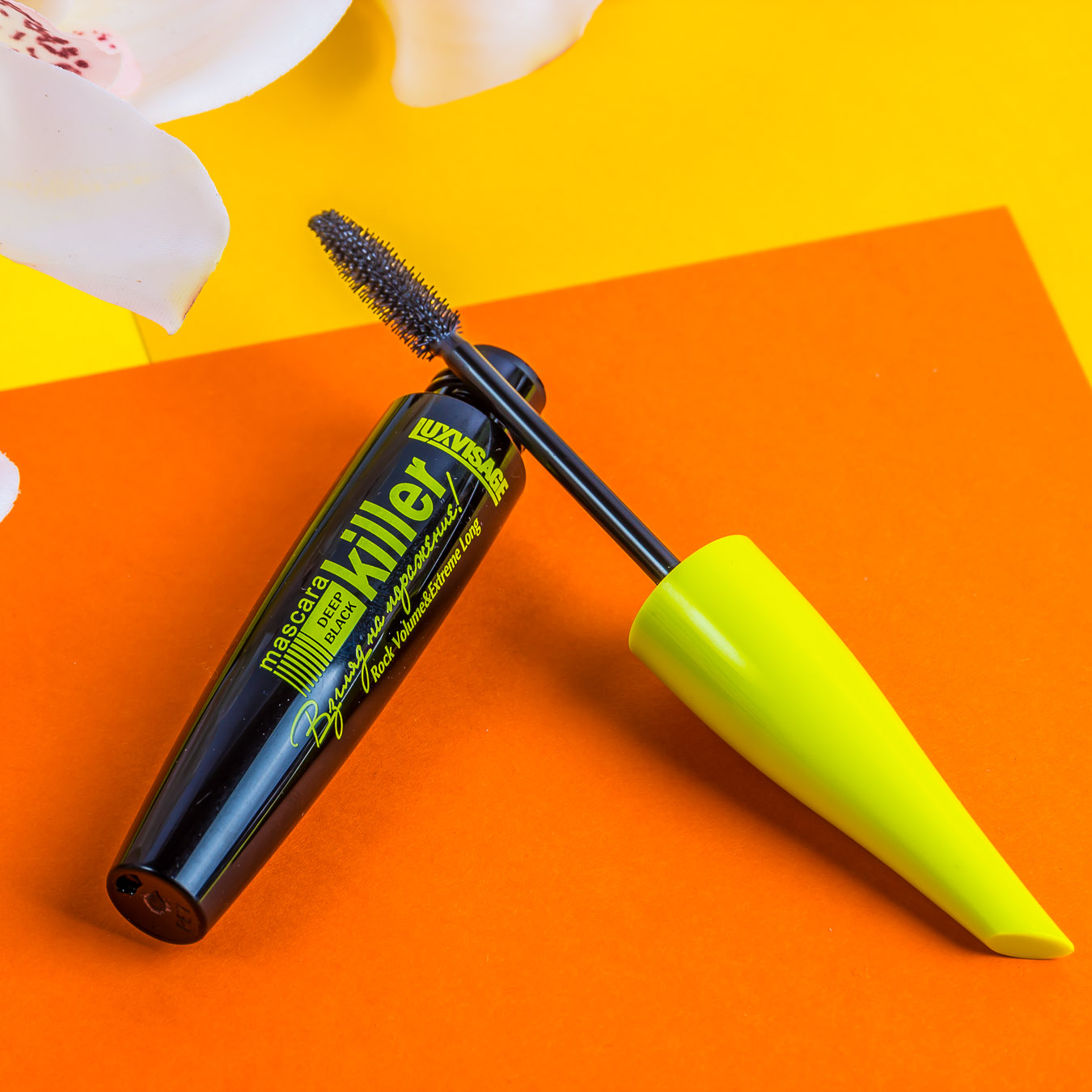 �ӣ ���� � ��������! �� �������� �������� ��������� ���������������� ��������, ������� ������� �������� ����� ����� � ��������� ����������.