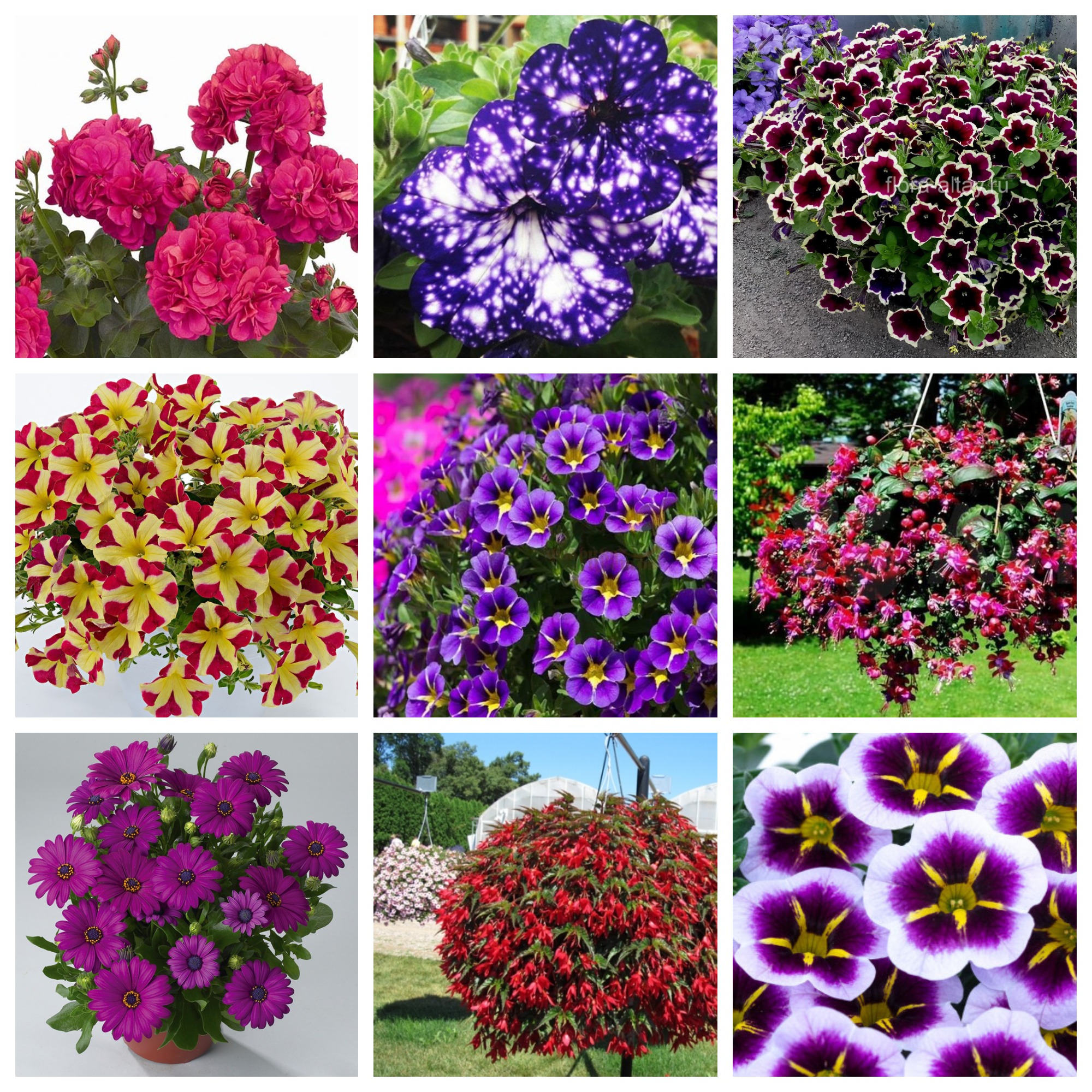 ���� ������� �� 25.10. ������������ �������, ������, ���������� �����������, ����������, ������������, �������, ���������� � ������ ������ ��������. ��������� �� ����� 2022 ����