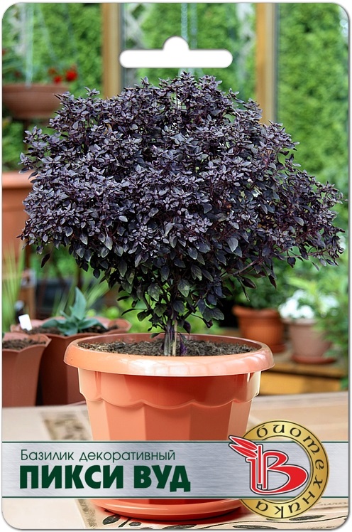 �������! ������ ����� ����������� ��������, ������������ ��������� ������� �������!