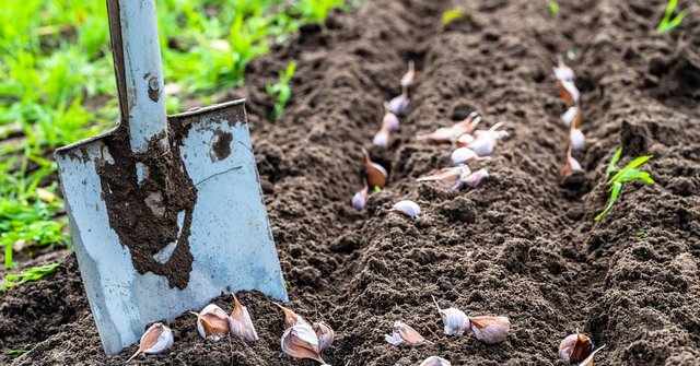 ���������� ������� ������� �������