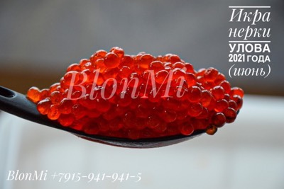 ���������� ������� ���� �������, �����, ����. ���� ������� ������ "��������� �����"