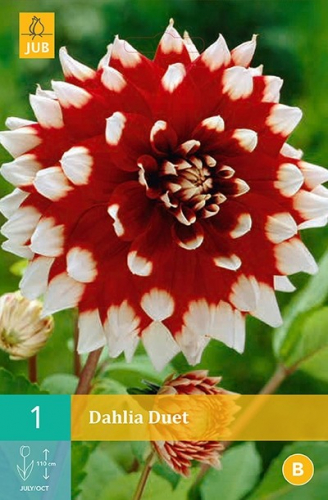 ���������� ����� � ������������. ��������, �����, ����������, ����� � ��.