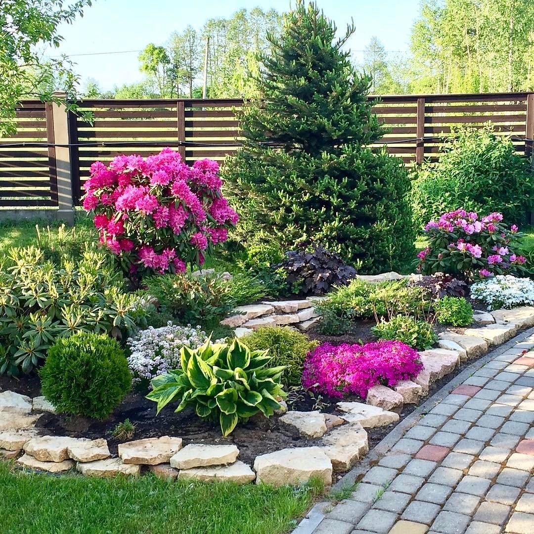 ���� �������. ������� ����������� � �������. ���������. ��������� �� ����� 2022�.