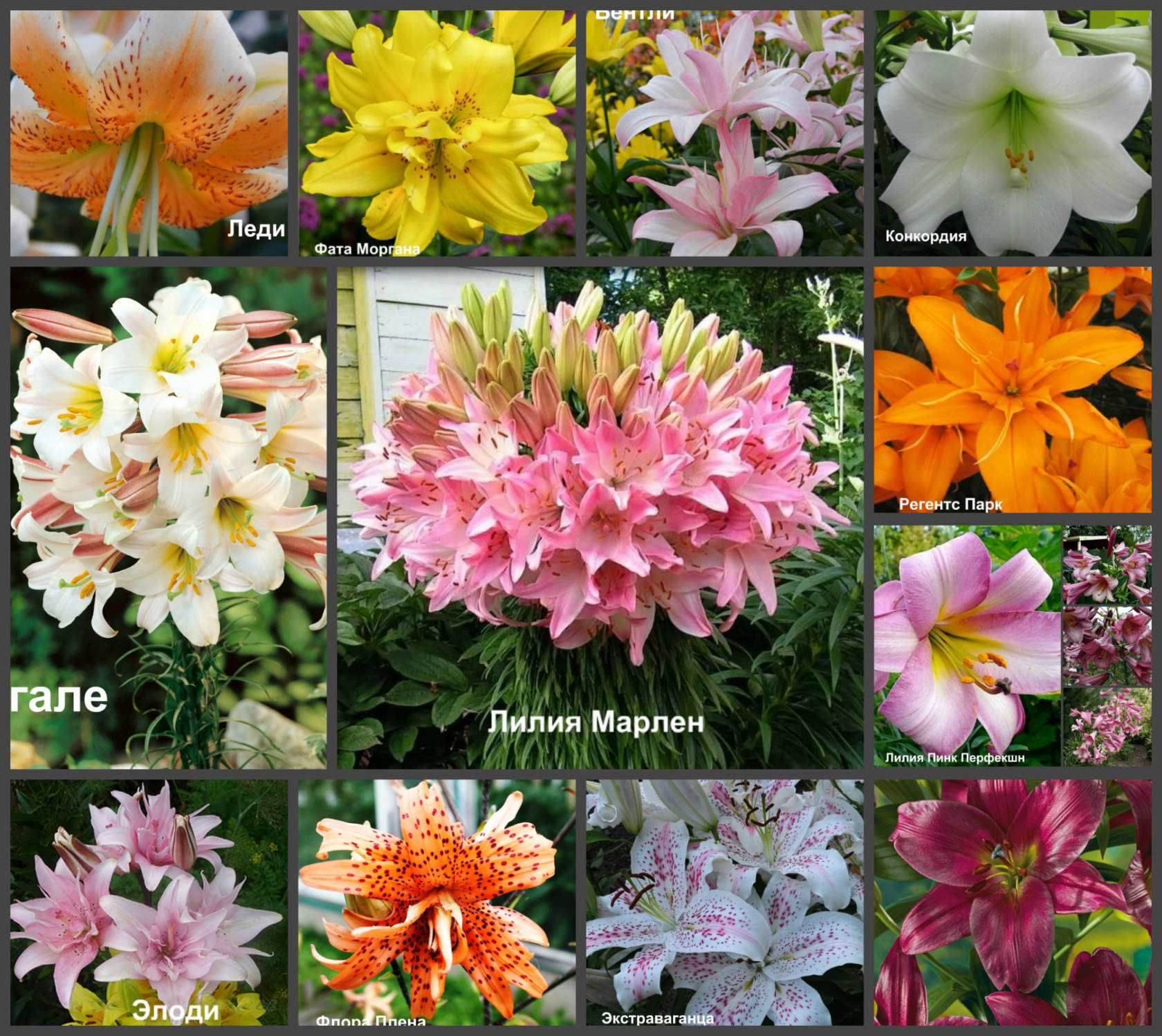 ���� �������. ���������� � ������������ ���������. ��������� �� ����� 2022�