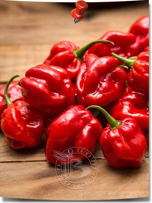 ��������� ������ ������ �� ����������! ��������� �� �� ���������� �����. ������� ������ � � ��������� �������� ��� ������������. �� ������ � ���� ���������!