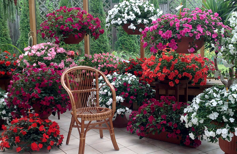 ����������(����������) - ���������� ������������ �������! �� �������� �� �� �� ��������, �� �� �����������������!