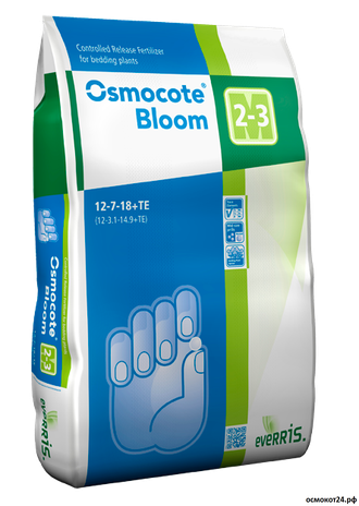 ���������������� ��������� -������ � ������ - �������, ���������, ������-�����, � ��.