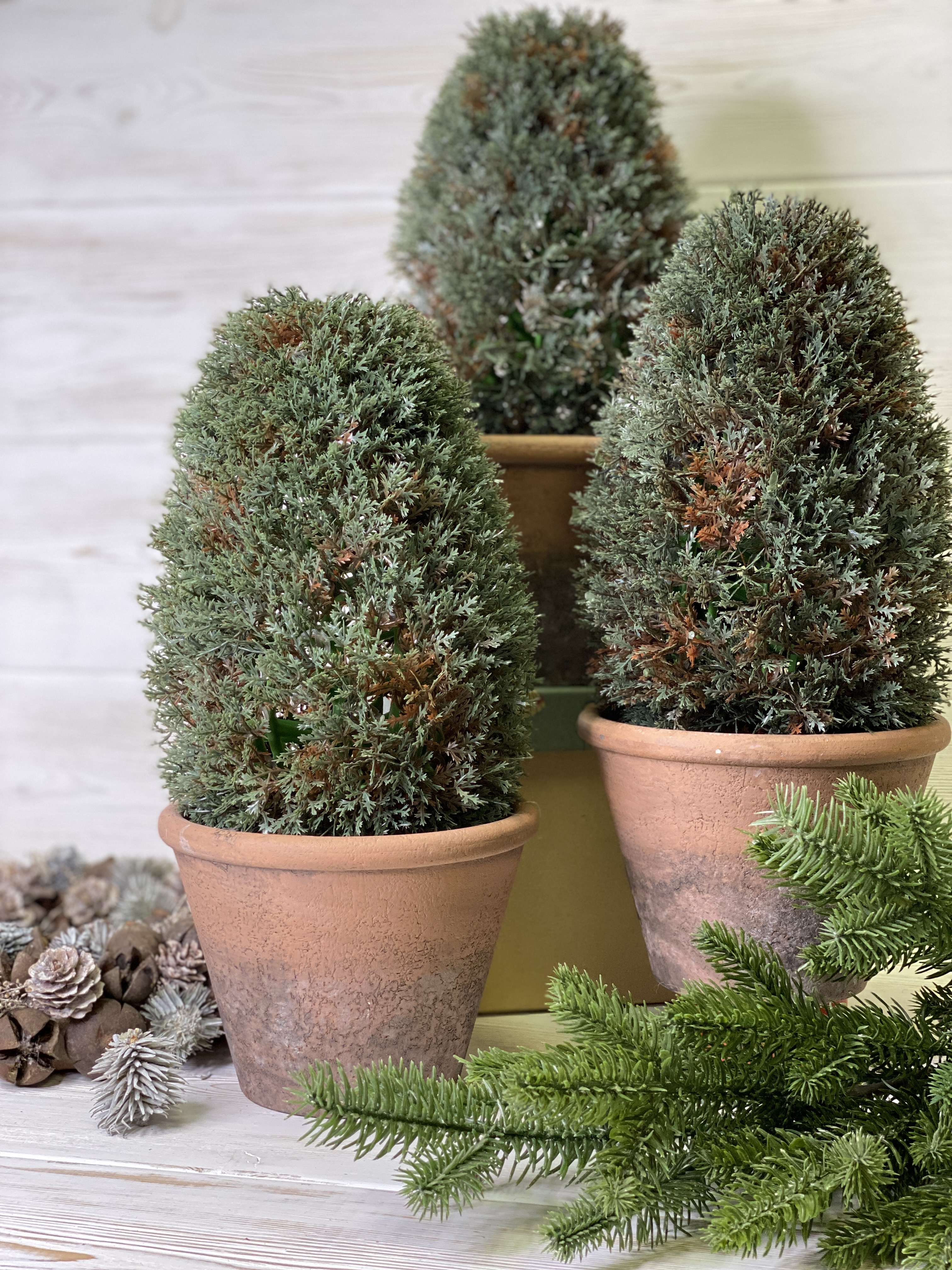 ����� � ������� � ������������ ����� ���!