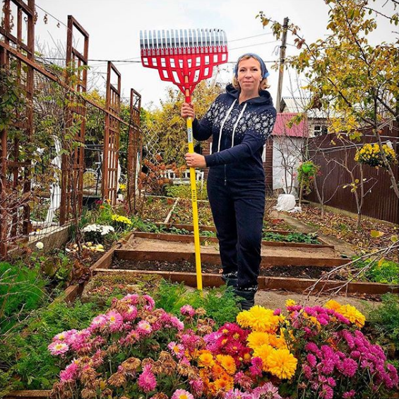 �����������. ������� ���������� �� ������ ������� ������ Dewit, Sneeboer, Offner � ��. �������� �� 100 ���. ��������� �������� ��� ��� Gold Leaf! ��������, �� ������������ ����� Foxgloves. ����������� �������������, ������ ��� ������. ������ �� �������. �