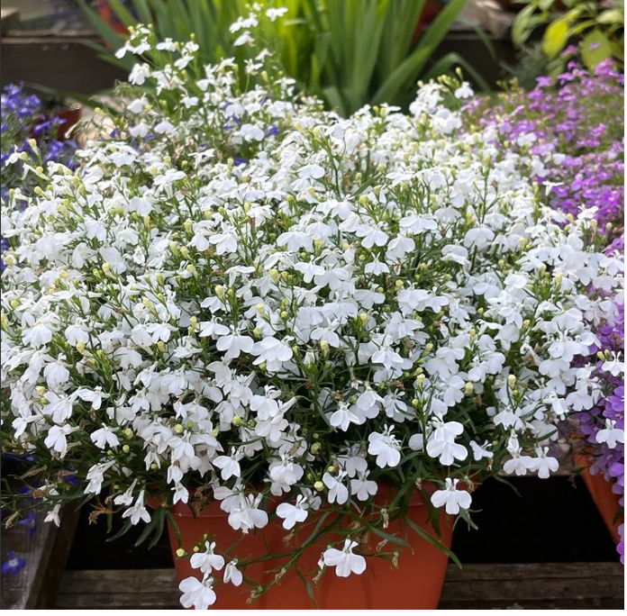 ������� ������ ����. ����� ���������!