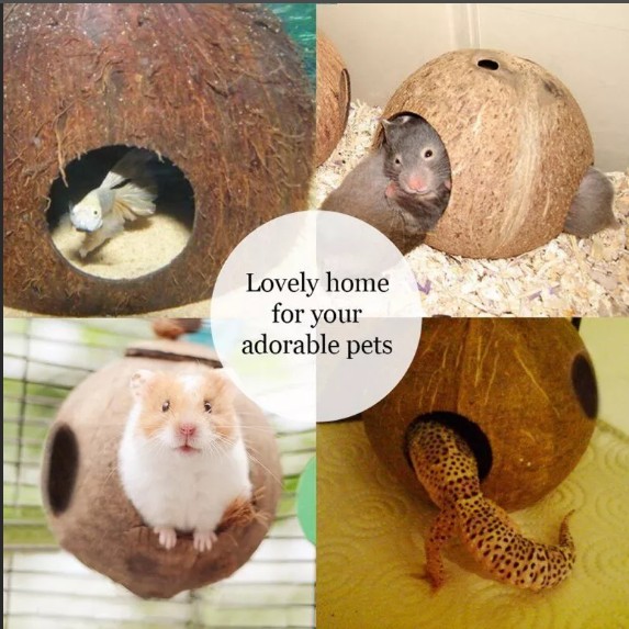 ������ ��� �������� �� ������.