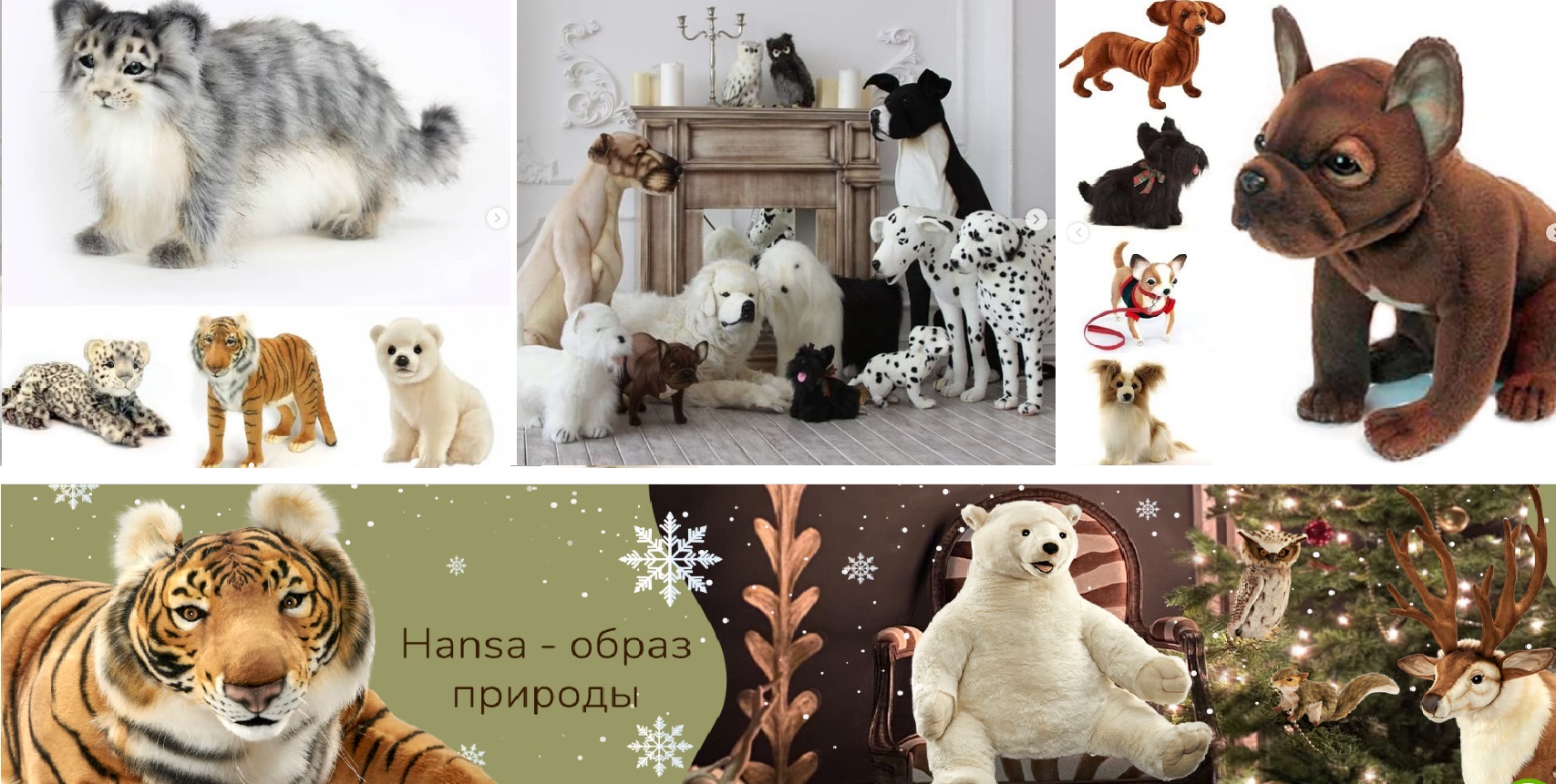 ���� ������� �� 22/11. ������� HANSA - ����� �������. ������ ������� ������� ������� ��������������