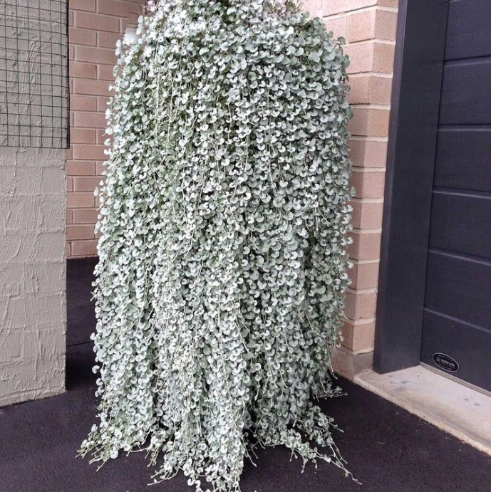 �������� ������� �����. �������� ������������ ������ �� 1,8 �!