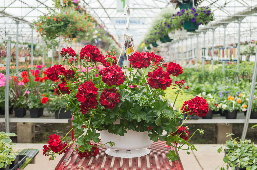 ���� �������. ����������! ���������, �����������, ��������, ��������� ������������ � ����������� ������, � ��� �� ������������. ����� ���������! ��������� �� ����� 2022