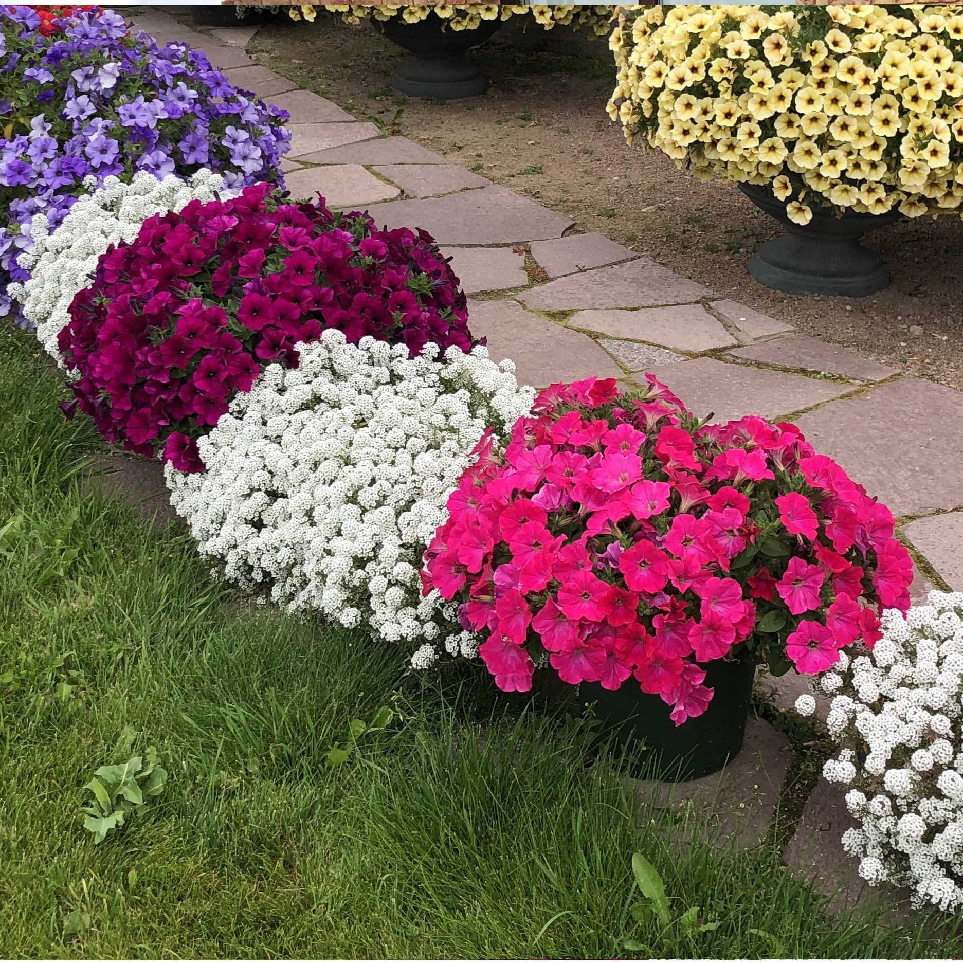 ���� �������. ������� ������������, ������, ����������. ����������� �����, ������� ������ �� ������, ����� ��������, ������� ��������! ��������� �� ����� 2022