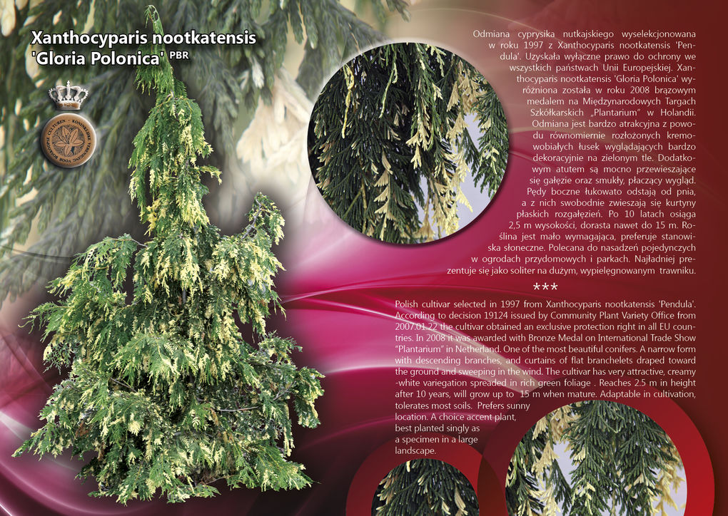 ���� �������. ������� �������� �������� �����������. �� ����� 2022����