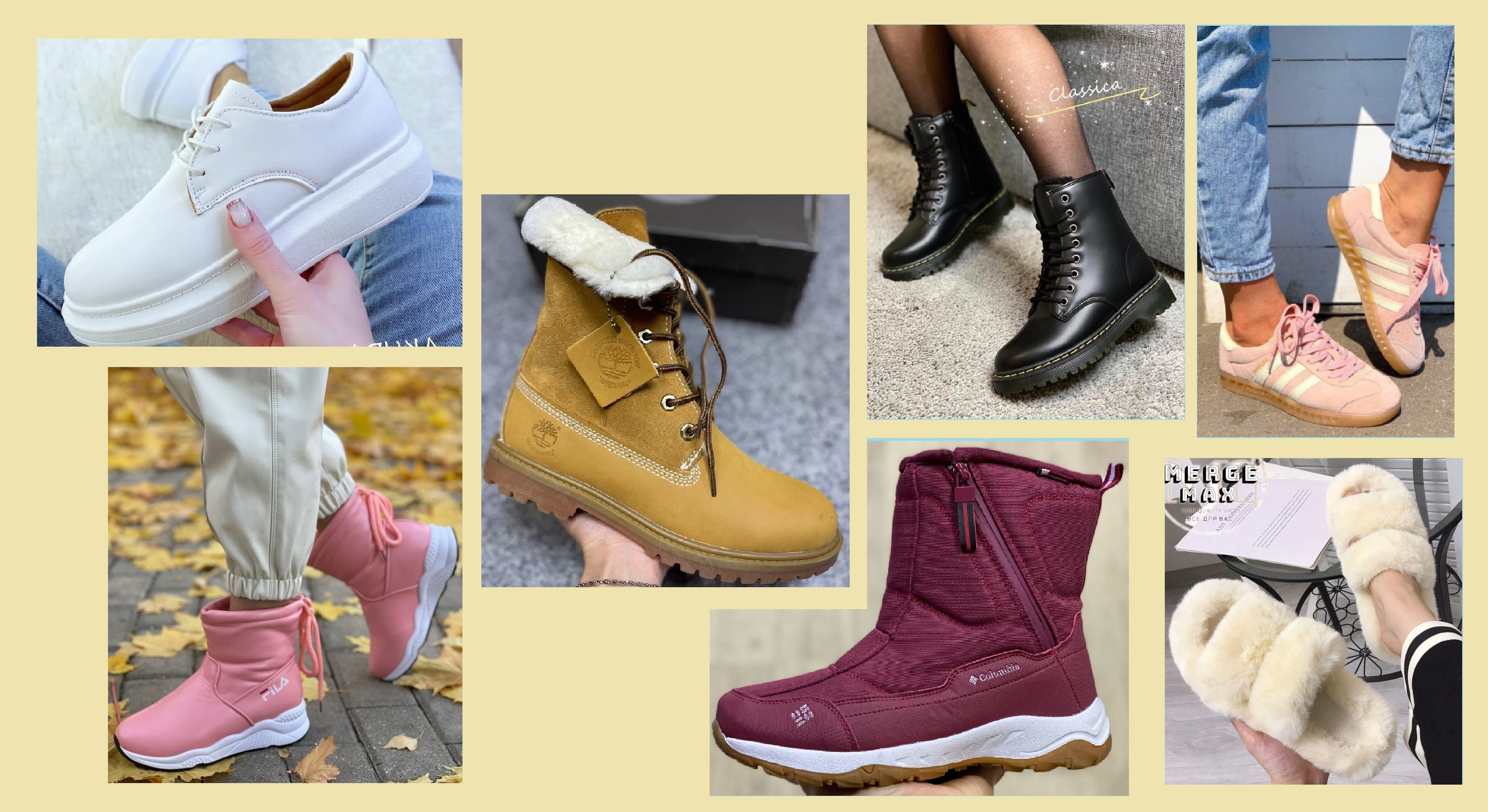 ���� �� 26.11. ���� ���������� - ����! �����-����������� �� �������, ������� � ������������ ���������, ����� ��������� �������! ������� �������� ������ ��������