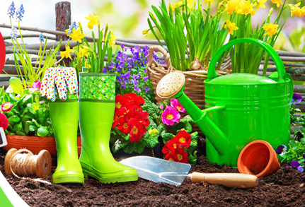 ���� �� 29.11. ����-������� �� ���� � ����! ���� ���! �������, ������ ��� ������, �����, �����������/���������, ������ ��� �����, �����/�������, ������ ������, ������� �����, ��� ��� ������� � ������ �� �������, ��� ����, ������ ��� ���������������