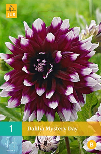 ���������� ����� � ������������. ��������� �� �����