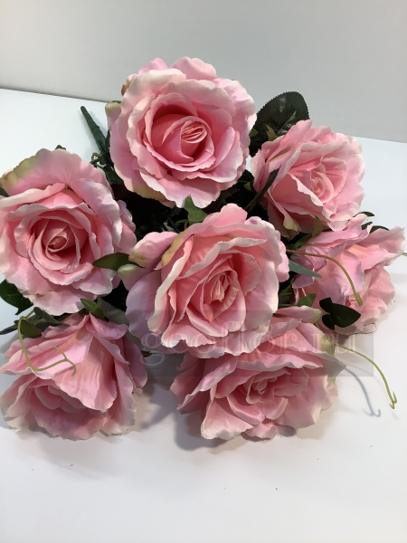 [b]���� �� 10 . 12 . ������������� ����� , ������ �� 10 ��� , ��������� ����� �� 6 ��� . ����� ��������� �������� �� �������������![/b]