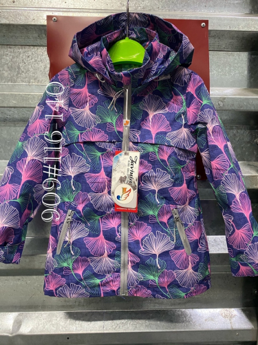 ������ ����. ��������, ������ � �������, ��������� � ����