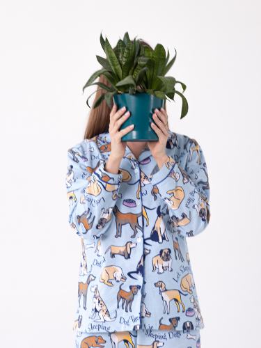 ������������� ���������� �������! 