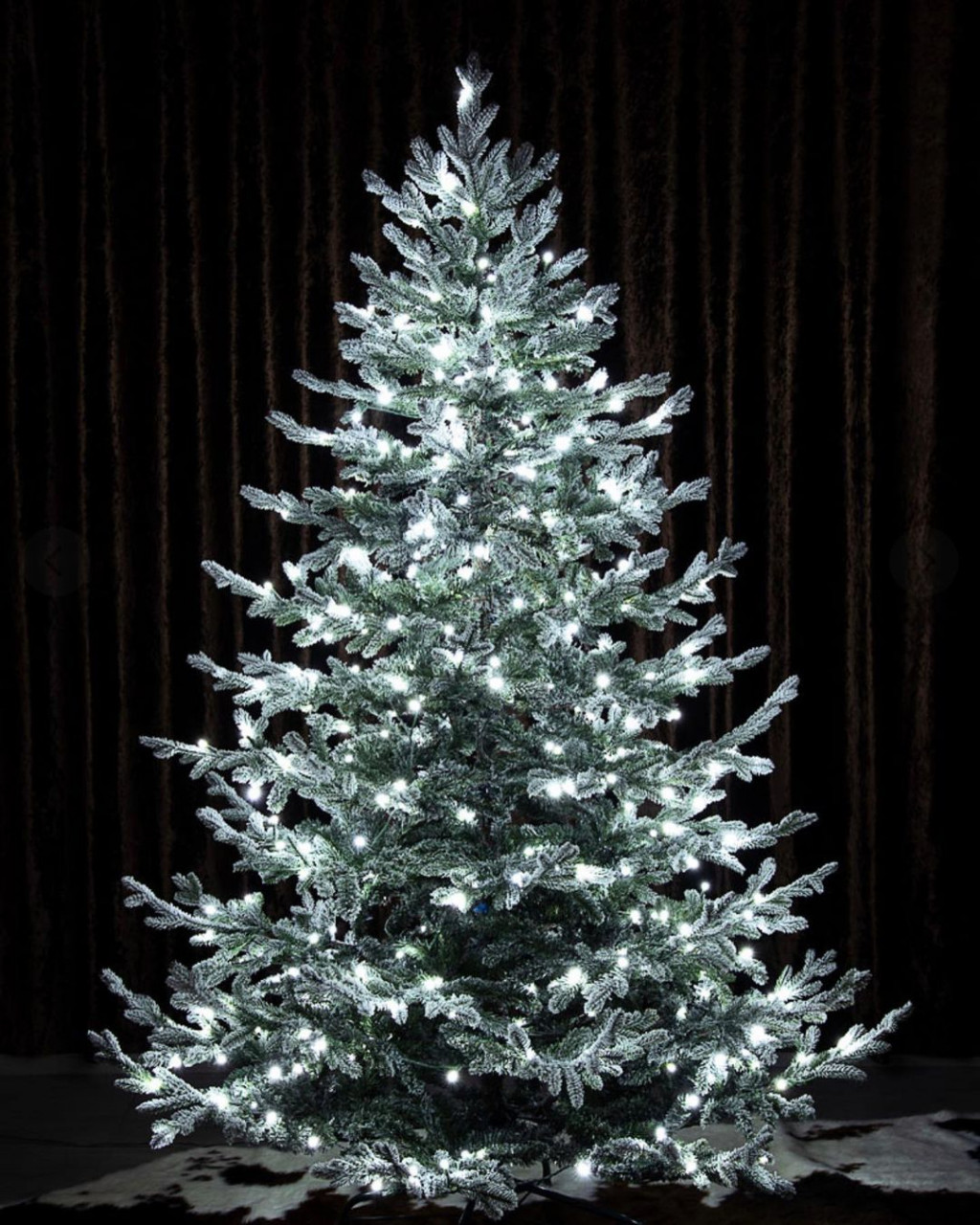 ���� �������. Erbis. �������� ��� � ������ �� ������ 2021-22.