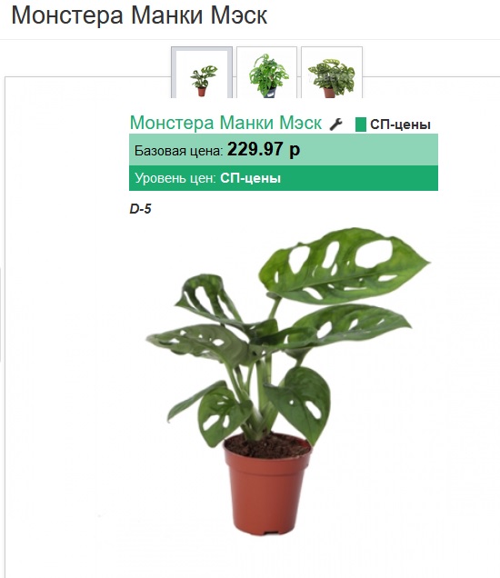 ��������� ��������� ��������, �������� � �������� ���������, ���� ������� ���������, ����� � ���, ������ - ���� ����� � ������ ����!